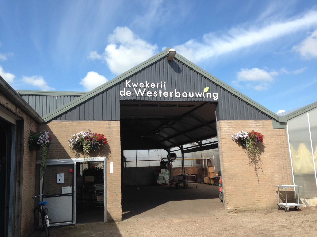 Kwekerij de westerbouwing kaasjager